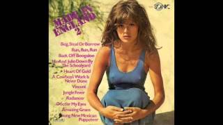 The Hiltonaires - Jungle Fever (Chakachas Cover Version) 1971