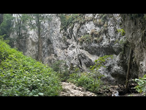 Canionul șapte scări - Diana Maria Boioglu - vlog 220