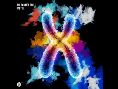 David Jach - Bang  [Upon You Records]