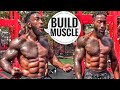 Full Body Bodyweight Workout to Build Muscle | @Broly Gainz | 15 minute workout
