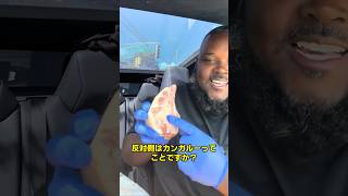 カンガルーの尻尾VS牛テール論争