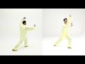 24式太极拳 分解版 第十九式：海底针 24 forms tai chi form 19 needle at sea bottom