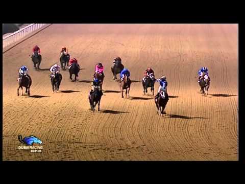 Dubai Golden Shaheen 2009 G1 - BIG CITY MAN
