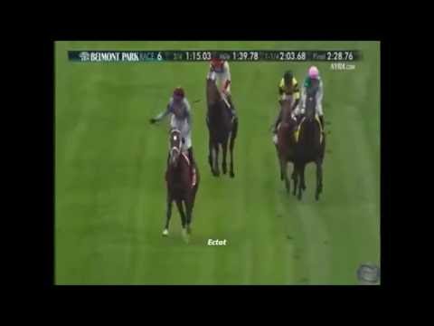 Ectot - 2016 Joe Hirsch Turf Classic