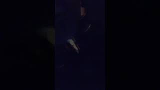 Young Thug & 21 Savage - The Rarri (2017 Extended Snippet)