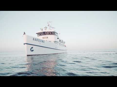 NATURA – Angeln und Fischen an der Ostsee – lystfiskeri langs Østersøen
