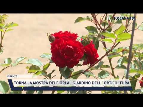 2021-05-29 FIRENZE - TORNA LA MOSTRA DEI FIORI AL GIARDINO DELL'ORTICOLTURA