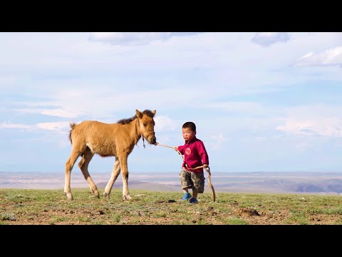 МУГЖ Г.Батбаяр, МУСТА Н.Батсайхан, Б.Сонгууль - ДЭЛГЭРХЭН БАЯДЫН НУТАГ