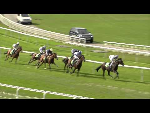 2013 Juddmonte International Stakes - Declaration Of War
