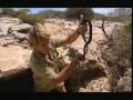 Crocodile Hunter Wild West Part 2 5