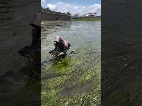 Reel tagged #fish