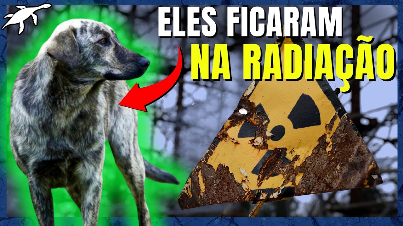 The MUTANT ANIMALS of CHERNOBYL