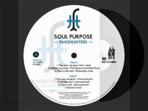 FakeHunters - Soul Purpose 12