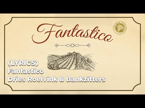 Fantastico (ft. Dries Roelvink