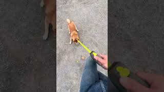 おそらくジョブは守護神