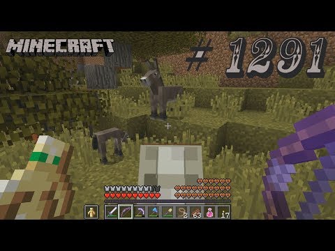 Let's Play Minecraft # 1291 [Deutsch] [HD]: Esel!