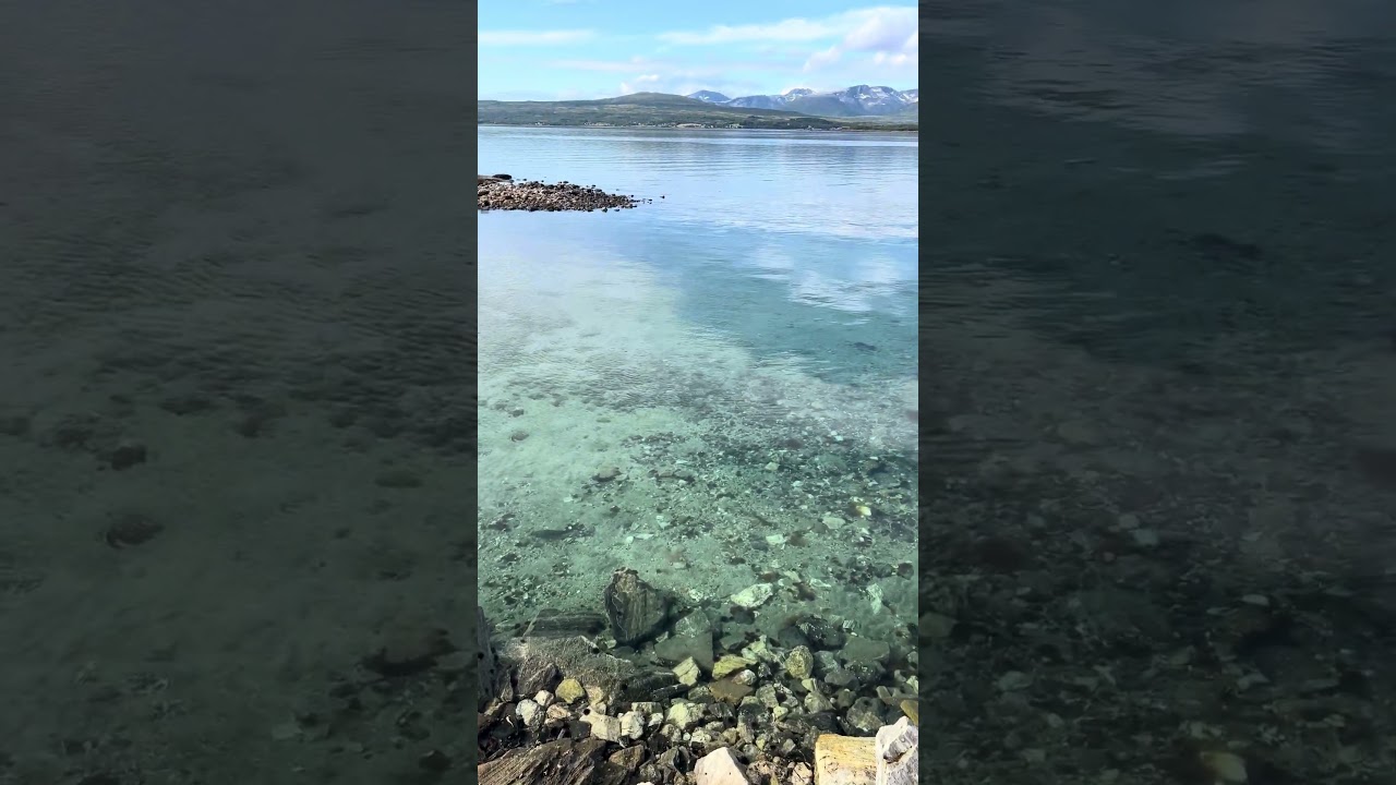 YouTube Short thumbnail