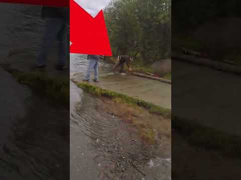 Snaggers Abusing Salmon