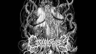 Cephalotripsy - Ulcerated Mass of Pestilent Engorgement (New Promo 2011!)