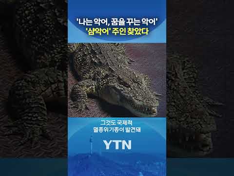 '악어의 꿈' #shorts / YTN
