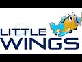 Little Wings - Fall Flood