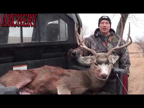 Bow hunting Mule Deer Spot & Stalk in SD with arrow impact how we hunt rut bucks