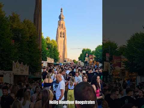 Video Kermiseditie 2025