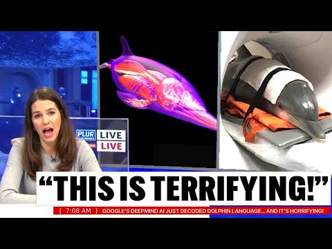 Google’s DeepMind AI Just Decoded Dolphin Language… Experts Went Pale at What It Revealed