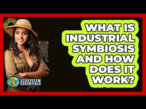 What Is Industrial Symbiosis And How Does It Work? - Ecosystem Essentials