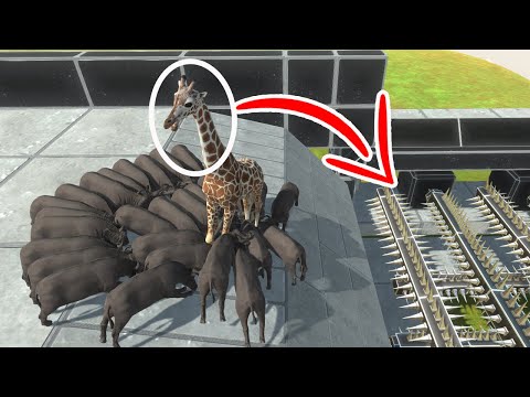 🐃 Who is stronger than a herd of Cape Buffalo ? - Animal Revolt Battle Simulator