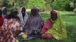 Saving livelihoods saves lives – 2018 highlights