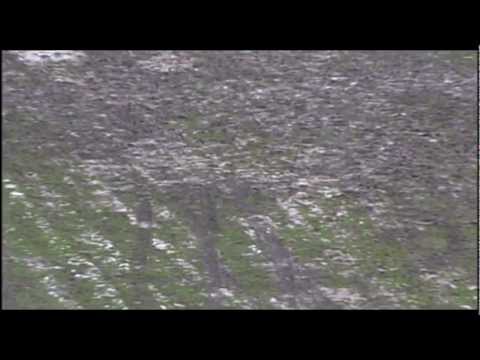 HAWICK v KELSO 26.1.13 NEWS ITEM