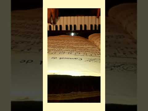 Carnaval de Venise 🎶méthode rose