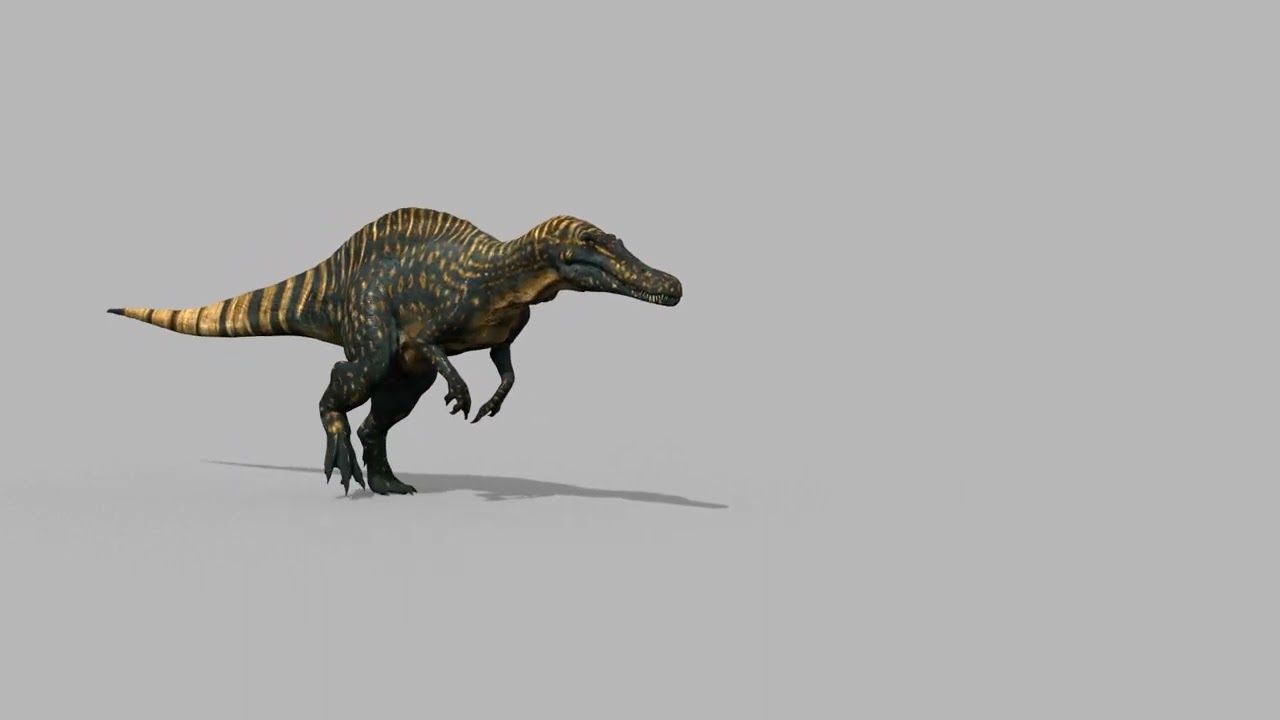 Suchomimus animado real - 8K Modelo 3D