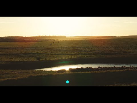 MANIFESTO 40 ANOS FRIGORÍFICO CALLEGARO - 2025