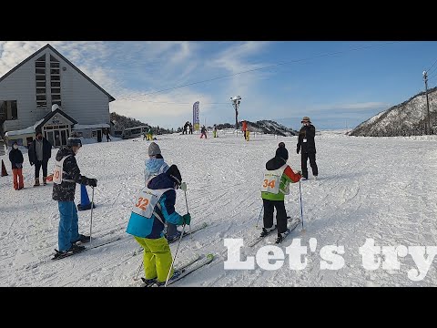 IUCN分類における絶滅の危険性を示す図。