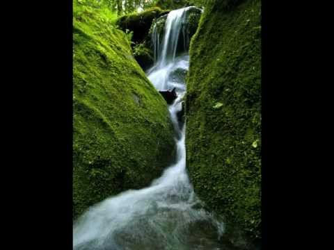 (I Wanna Live On) Sunbeam Creek - Wooden Wand and The Vanishing Voice