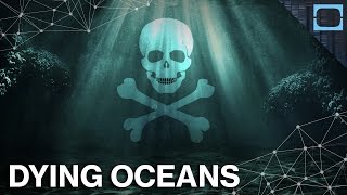 Is It Too Late To Save The Oceans?