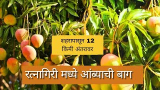 आंब्याची बाग तुमच्या बजेटमध्ये ..#kokan #property #realestate