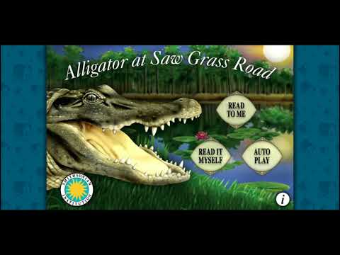 Alligator at Saw Grass Road Video