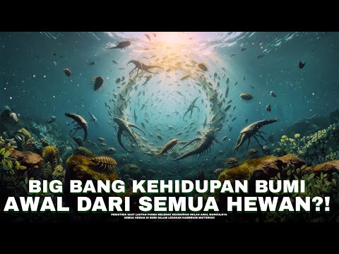 Saat Evolusi Meledak! Lahirnya Hewan Pertama di Bumi?! | #alamaya