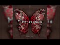 Interworld Metamorphosis Precisely Slowed Phonk