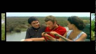 Johnny Hallyday  Pour moi la vie va commencer