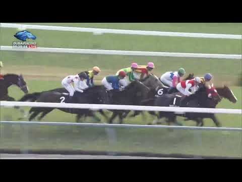 2019.11.10 Kigiku Sho (JPN) - Simple Game