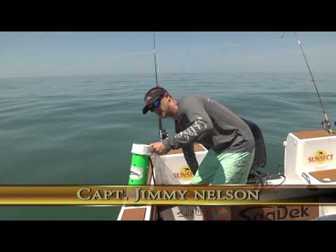 Chum Buddy on Mangrove Snapper