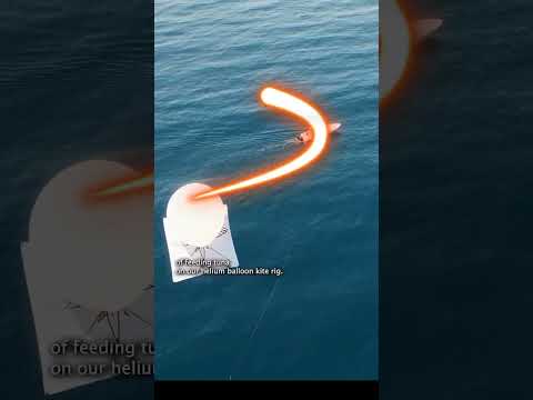 Fish 🐠🐋🐟#phonk #music #beats #remix #dnb #bass #trending #bassboosted #funny #comedy