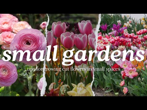 Top Tips for Growing Cut Flowers in Small Spaces// Backyard Flower Farm
