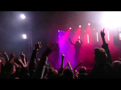 Frej Larsson och Joy this is Hultsfred 20/8-2016