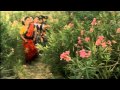 Adi Punguyile Aranmanai Kili Tamil Movie HD Video Song