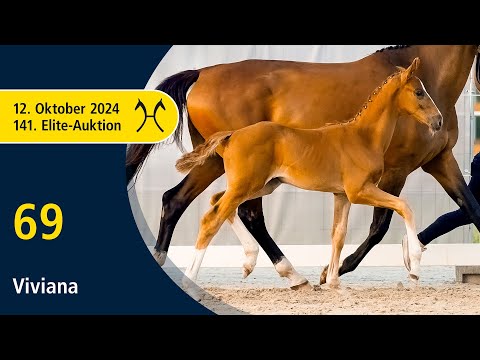 No. 69 Viviana by Viva Vitalis - Borsalino | 141. Verden Elite-Auction on October, 12th